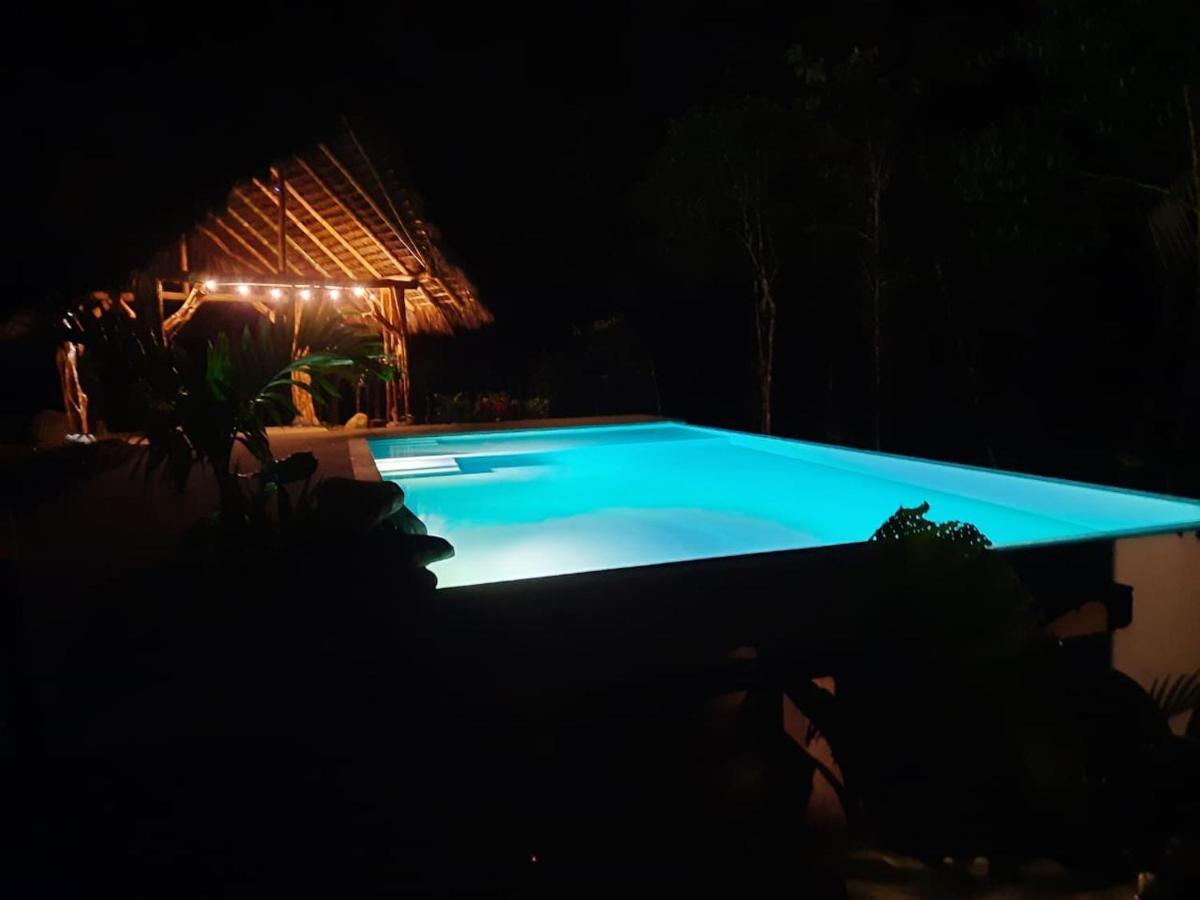 Wild Wasi Lodge - Adventures - Guided Tours Puyo Exterior photo