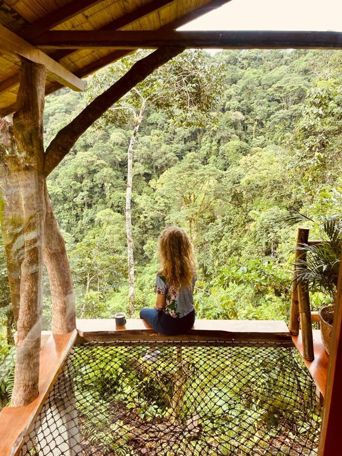 Wild Wasi Lodge - Adventures - Guided Tours Puyo Exterior photo