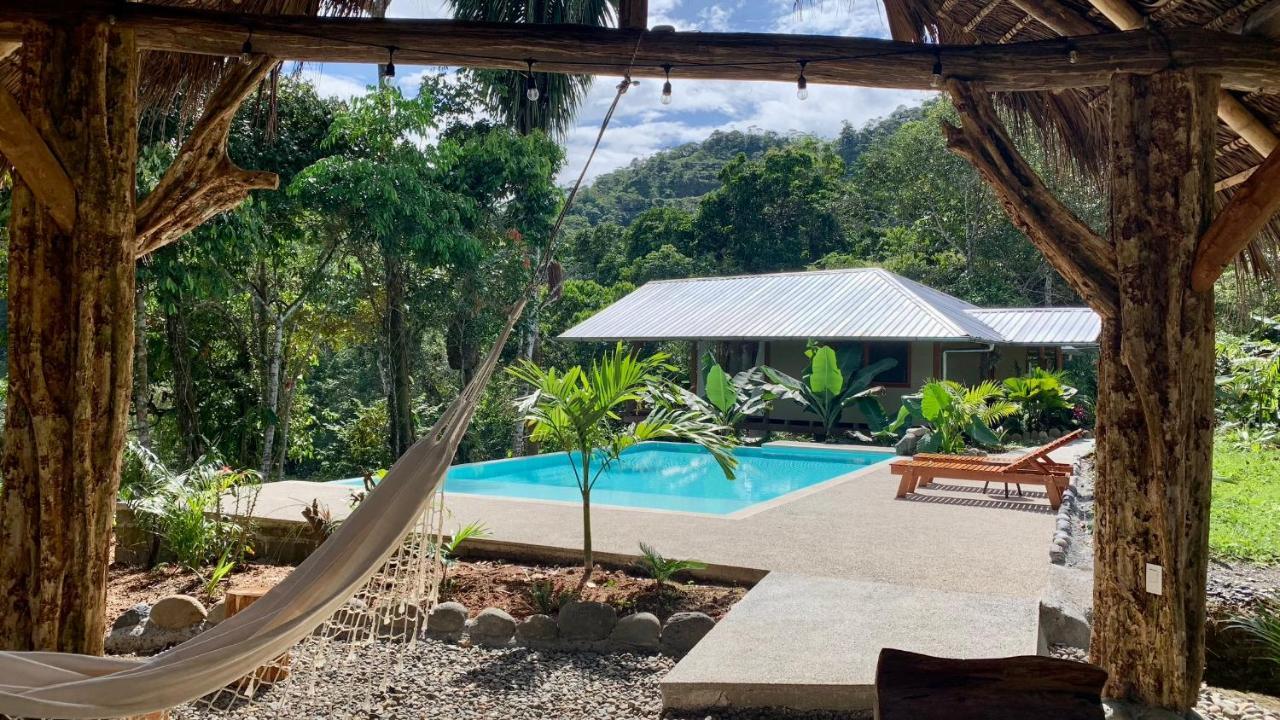 Wild Wasi Lodge - Adventures - Guided Tours Puyo Exterior photo
