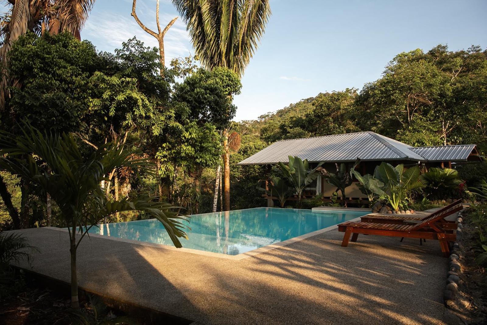 Wild Wasi Lodge - Adventures - Guided Tours Puyo Exterior photo
