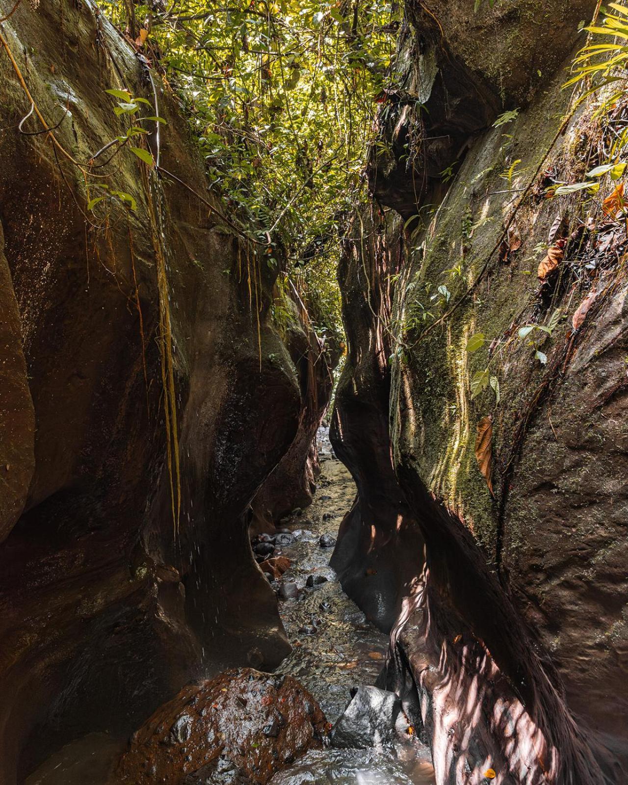 Wild Wasi Lodge - Adventures - Guided Tours Puyo Exterior photo