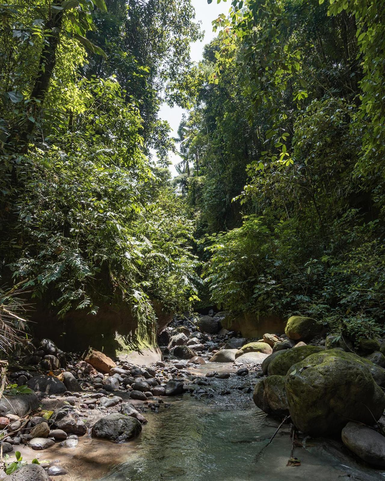 Wild Wasi Lodge - Adventures - Guided Tours Puyo Exterior photo